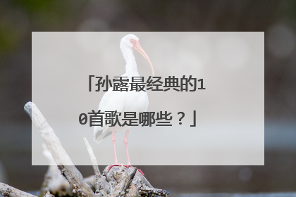孙露最经典的10首歌是哪些？