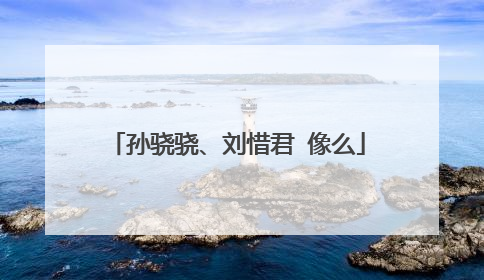 孙骁骁、刘惜君 像么