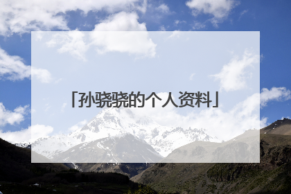 孙骁骁的个人资料