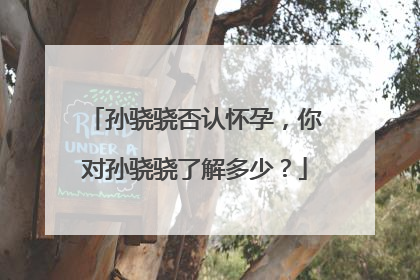 孙骁骁否认怀孕，你对孙骁骁了解多少？