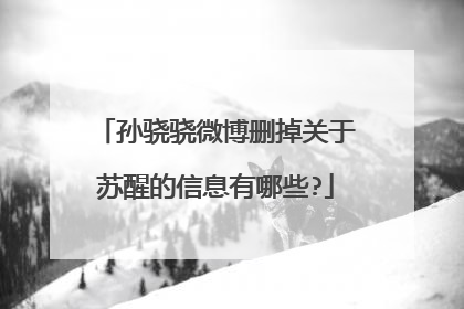 孙骁骁微博删掉关于苏醒的信息有哪些?