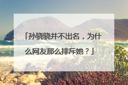 孙骁骁并不出名,为什么网友那么排斥她?
