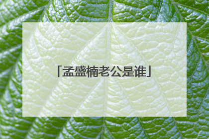 孟盛楠老公是谁