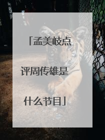 孟美岐点评周传雄是什么节目