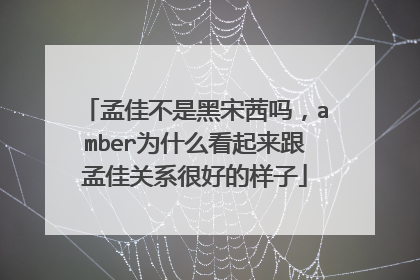 孟佳不是黑宋茜吗，amber为什么看起来跟孟佳关系很好的样子