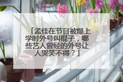 孟佳在节目被爆上学时外号叫棍子，哪些艺人曾经的外号让人哭笑不得？