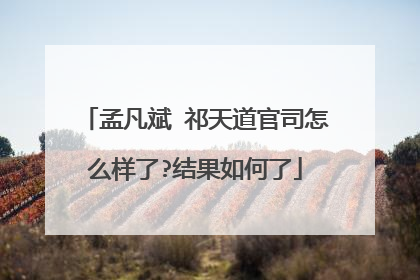 孟凡斌 祁天道官司怎么样了?结果如何了