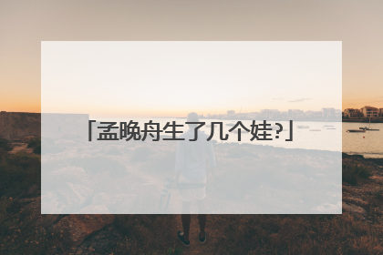 孟晚舟生了几个娃?