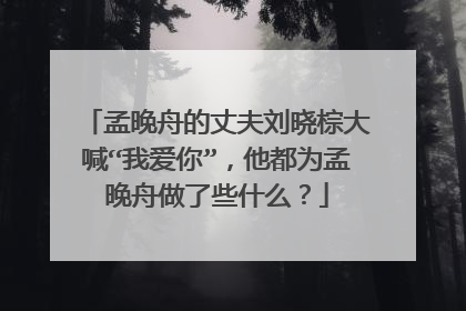 孟晚舟的丈夫刘晓棕大喊“我爱你”,他都为孟晚舟做了些什么?