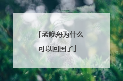 孟晚舟为什么可以回国了