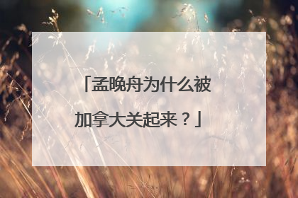 孟晚舟为什么被加拿大关起来?