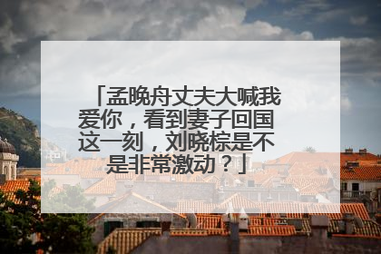 孟晚舟丈夫大喊我爱你，看到妻子回国这一刻，刘晓棕是不是非常激动？