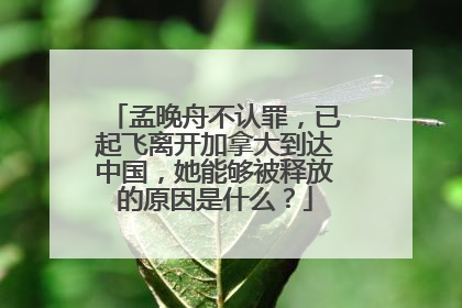 孟晚舟不认罪，已起飞离开加拿大到达中国，她能够被释放的原因是什么？