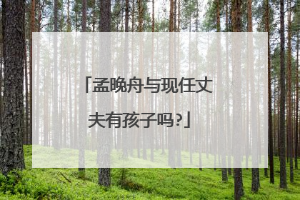 孟晚舟与现任丈夫有孩子吗?