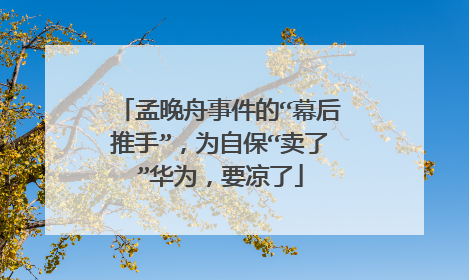 孟晚舟事件的“幕后推手”，为自保“卖了”华为，要凉了