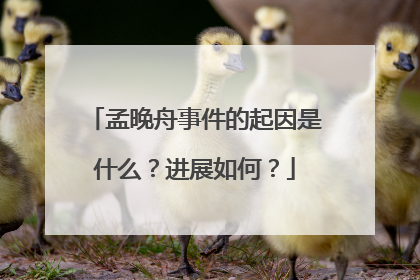 孟晚舟事件的起因是什么？进展如何？