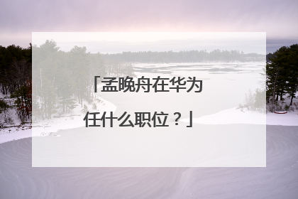 孟晚舟在华为任什么职位?