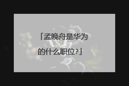 孟晚舟是华为的什么职位?