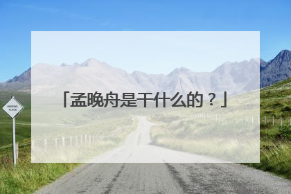 孟晚舟是干什么的？