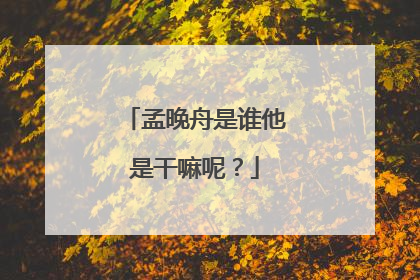 孟晚舟是谁他是干嘛呢?