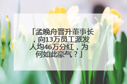 孟晚舟晋升董事长，向13万员工派发人均46万分红，为何如此豪气？