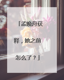 孟晚舟获释，她之前怎么了？