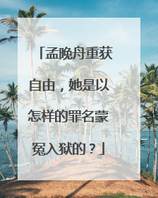 孟晚舟重获自由，她是以怎样的罪名蒙冤入狱的？
