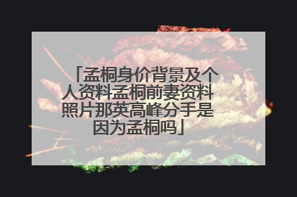 孟桐身价背景及个人资料孟桐前妻资料照片那英高峰分手是因为孟桐吗