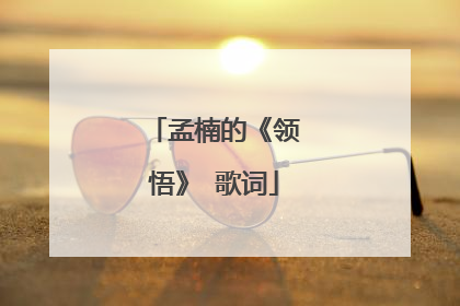 孟楠的《领悟》 歌词