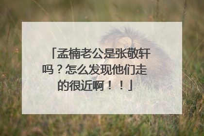 孟楠老公是张敬轩吗？怎么发现他们走的很近啊！！
