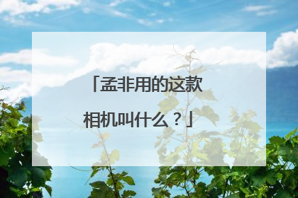 孟非用的这款相机叫什么?