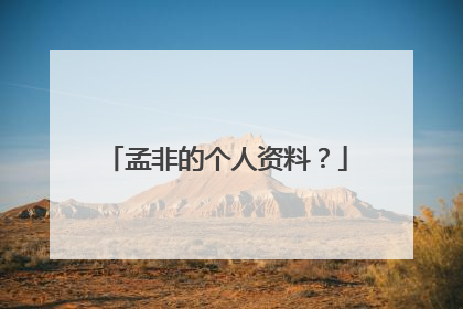 孟非的个人资料?