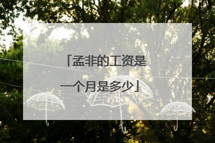 孟非的工资是一个月是多少