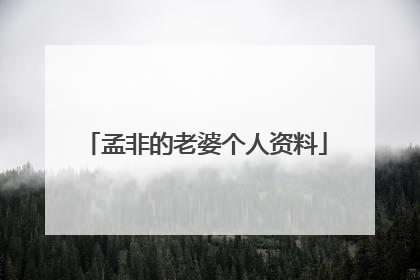 孟非的老婆个人资料