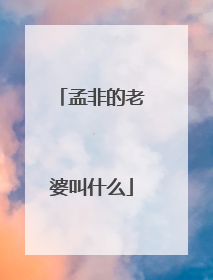 孟非的老婆叫什么