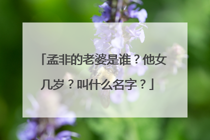 孟非的老婆是谁?他女几岁?叫什么名字?