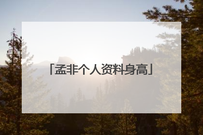 孟非个人资料身高