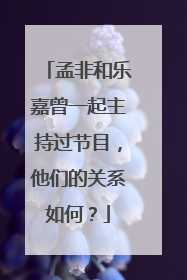 孟非和乐嘉曾一起主持过节目，他们的关系如何？