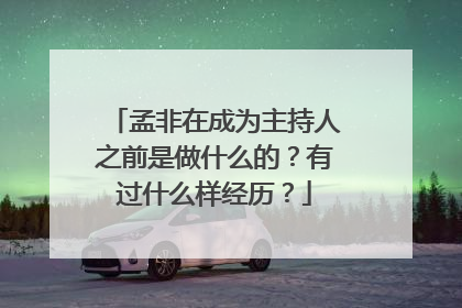 孟非在成为主持人之前是做什么的？有过什么样经历？