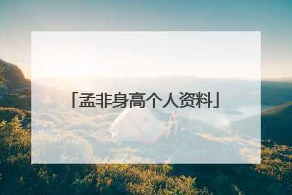 孟非身高个人资料