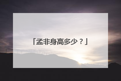孟非身高多少？
