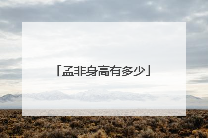 孟非身高有多少