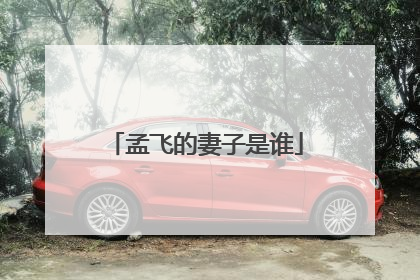 孟飞的妻子是谁