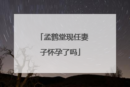 孟鹤堂现任妻子怀孕了吗