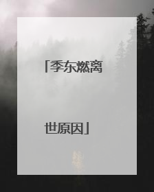 季东燃离世原因