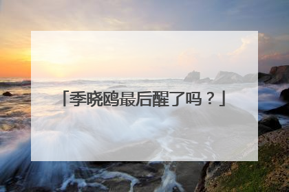 季晓鸥最后醒了吗？