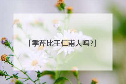 季芹比王仁甫大吗?
