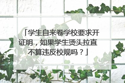 学生自来卷学校要求开证明，如果学生烫头拉直不算违反校规吗？