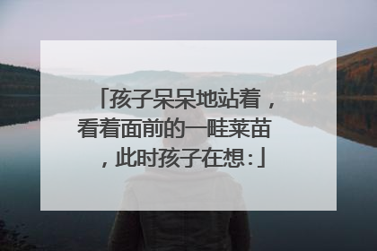 孩子呆呆地站着,看着面前的一畦莱苗,此时孩子在想: