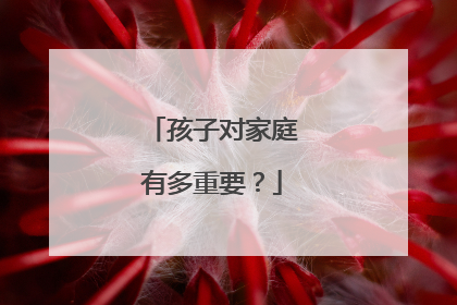孩子对家庭有多重要?